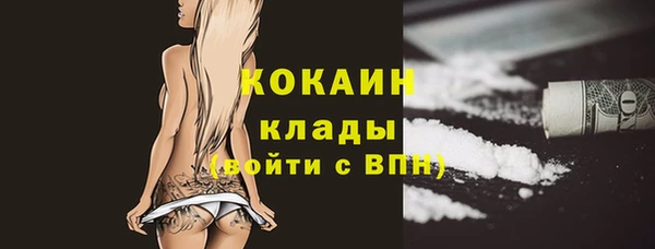 сатива Горнозаводск