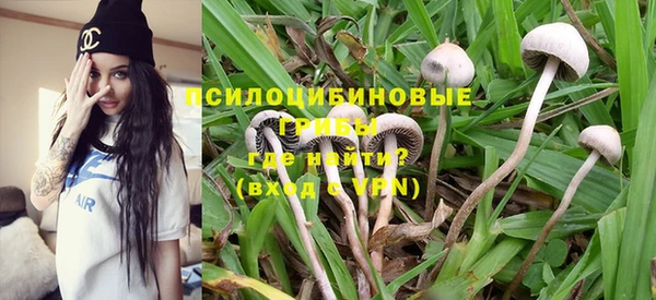 каннабис Дмитриев
