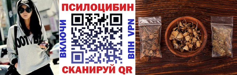 Купить  Нязепетровск  Галлюциногенные грибы мицелий 